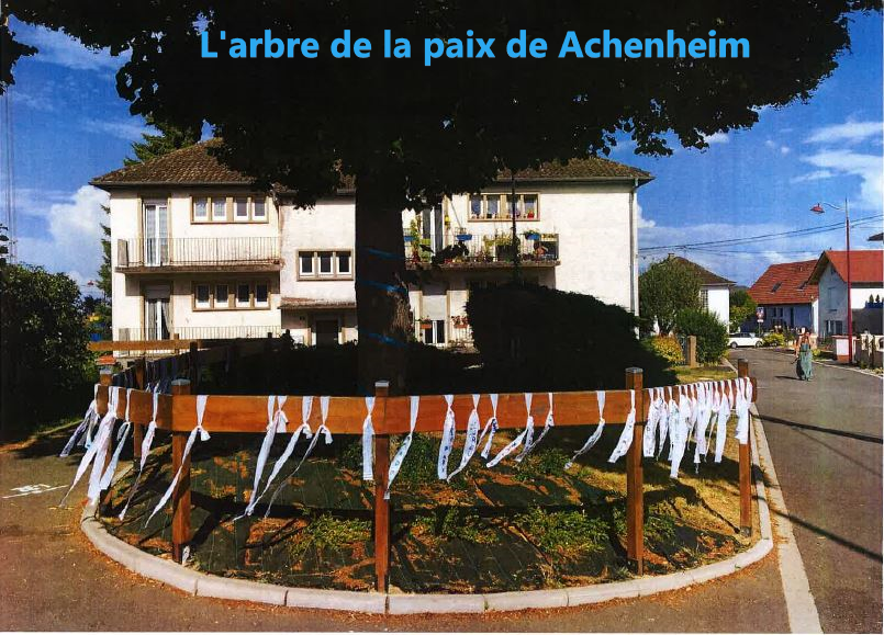 Achenheim arbre de la paix